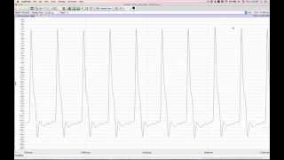 Tutorial 02 - Recording with LabScribe