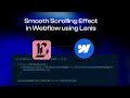 Adding Lenis Smooth Scrolling in Webflow