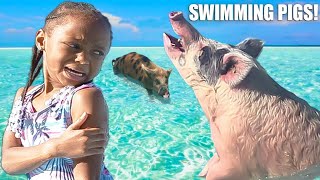 Girl SWIMS WITH PIGS In THE BAHAMAS, She Lives To REGRET IT | THE BEAST FAMILY