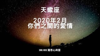 🌹塔羅占卜2020年2月：天蠍座- 兩個世界的愛情，溝通極限 🌹 塔羅占卜（不限時間）