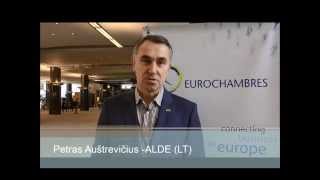 Petras AUŠTREVIČIUS - ALDE (Lithuania)