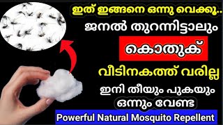 💯ഇനി ജനലും വാതിലും തുറന്നിട്ടാലും കൊതുകിനെ പേടിക്കേണ്ട, ഇതു മാത്രം ചെയ്‌താൽ മതി||#mosquitorepellent