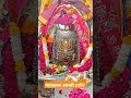 महाकाल आरती दर्शन उज्जैन महाकालेश्वर ज्योतिर्लिंग मंदिर mahadev live aarti shorts trending