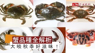 花蟹、紅蟳、沙公誰是誰？買對才能正確料理！