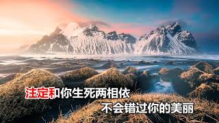 大度  缘来缘去都是你 MTV