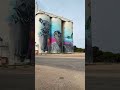 cowell silo art