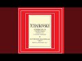 Symphony No. 6 in B Minor, Op. 74: I. Adagio - Allegro non troppo