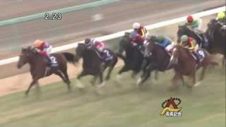 #16  オルフェーヴル　有馬記念2011