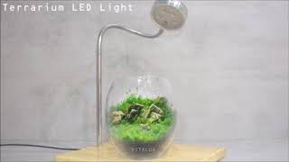 LED植物燈推薦、分享、使用效果與建議()