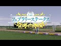 ひろくんのダービースタリオン 第11日 2020 12 23