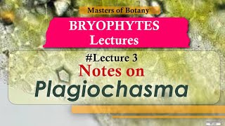 Lecture 3 | Plagiochasma Life Cycle: Important (Bryophytes) | Lecture Notes