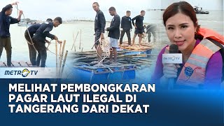 Melihat Lebih Dekat Proses Pencabutan Bambu Pagar Laut #KONTROVERSI