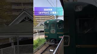 クラブツーリズム専用列車【かぎろひ】に遭遇！（2024年4月6日撮影） #団体列車 #ツアー #近鉄 #奈良 #旅行