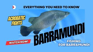 Mastering Barramundi Fishing: Essential Tips for Beginners!