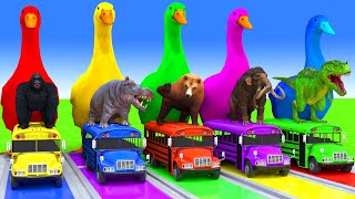 5 Giant Duck Cartoon,Cow,Elephant,Tiger,Lion,Dinosaur,Paint Wild Animals Crossing Fountain Animation