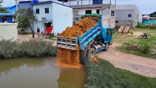 Start First New Project Landfill Remove Flooded Grass area !! Bulldozer Push Stone,Truck 5Ton Spread