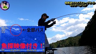 【衝撃】【バス釣り】【魚探映像付き】相模湖ライブスコープサイト！バスはたくさんいるぞ！