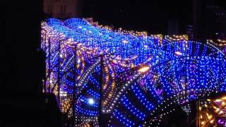 LUMINARIE A BOJANO