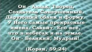 БИОМИМЕТИКА ИЛИ КАК ЧЕЛОВЕК ИМИТИРУЕТ БОЖЕСТВЕННУЮ ПРИРОДУ