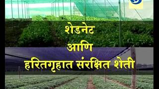 Krishidarshan 01 March 2018 - शेडनेट आणि हरितगृहात संरक्षित वातावरणातील शेती