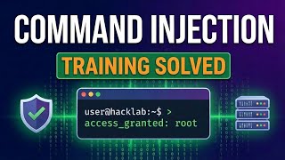 Command Injection Training | Hackviser | Skin Security