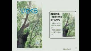 岩倉市議会令和３年３月定例会　一般質問（３月８日）４-３