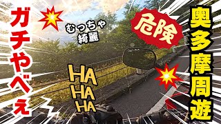 奥多摩周遊道路はやべぇぞ！綺麗！危険！初心者ライダー逝く【モトブログ】