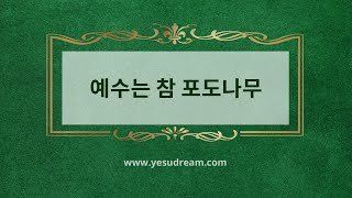 [예수드림] 복음성가 - 예수는 참 포도나무(AR)