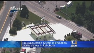 Gas Station Fire Suppression System Malfunctions, Goes Off