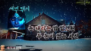 눈 내리는 밤 발견된 두 눈이 없는 시신_새벽 택시 29화 (오디오북|자막) Korean Horror Story [공포 미스테리 극장] 소리나는 책방 창작 스토리