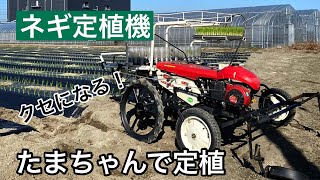 【農機】ネギ定植機「たまちゃん」の定植動画