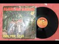 Samba de Côco - Walmir Silva