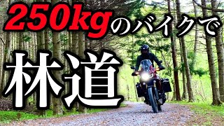 アフリカツインを納車した48時間後に林道を走る変態 【アフリカツイン/Africa Twin・CRF1000L】