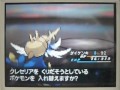 ポケモン ブラック2・ホワイト2「白の樹洞 隠しボス ワタリ戦」