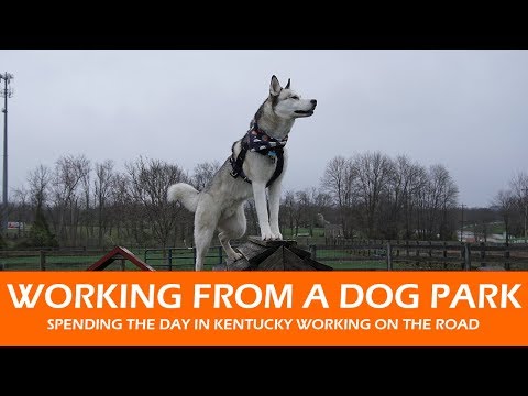 Working from a Dog Park in Kentucky Working from a Dog Park in Kentucky