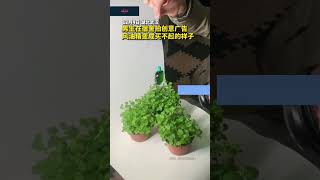 男生在宿舍拍创意广告，风油精变成买不起的样子