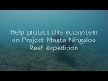 Project Manta Ningaloo Reef Expedition