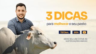 03 dicas para melhorar o pasto