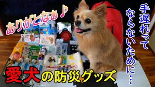 災害に備え愛する家族を守るため、必要なものがすぐ持って行けるように 防災グッズをそろえてみた👜【ポメラニアン\u0026ペキニーズのMIX犬】