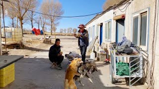 骑行青海寒冷的冬天提前为自己找到了准备过年的露营地诺木洪农场！