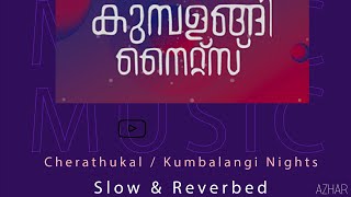 Cherathukal song slowed and reverb lofi | malayalm song
