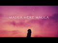 Maula Mere Maula | Anwar | Chill Mix | Lo-Fi Beats | Roop Kumar |