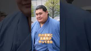 大の里関と高橋関 #九月場所 #相撲 #sumo #両国国技館 #sumida #tokyo #墨田区