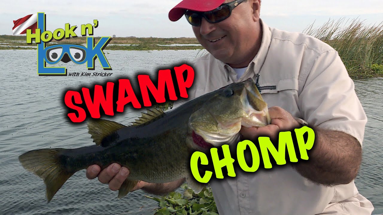 Swamp Chomp Youtube