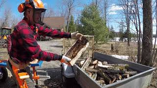 #411 Maple Tree. From Fell to Firewood. STIHL MS 261 Chainsaw. LogOX. Eastonmade ULTRA Splitter.