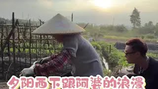 原本想乞把菜吃，结果阿婆骑马过海 记录我的乡村生活 三农 搞笑 台山