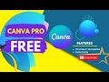 Canva pro team invite link | canva pro invitation link | canva pro free 2024