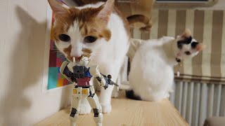 猫とガンダム【CATS \u0026GUNDAM】