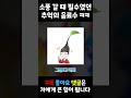 피크민 노래 뇌절 버전 4탄