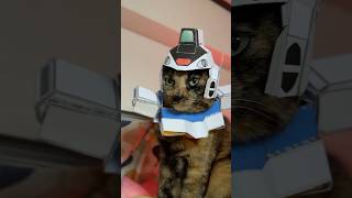 ヘキサからvガンダムに換装！　#cat #gundam #ねこのいる生活